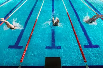 A.S.D. Accademia del Nuoto, centro sportivo a Marino