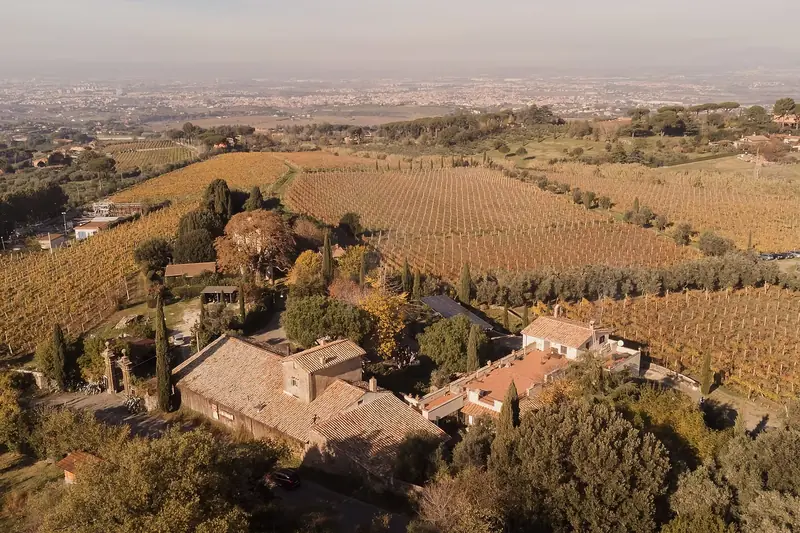 Cantine Santa Benedetta, altro a Monte Porzio Catone