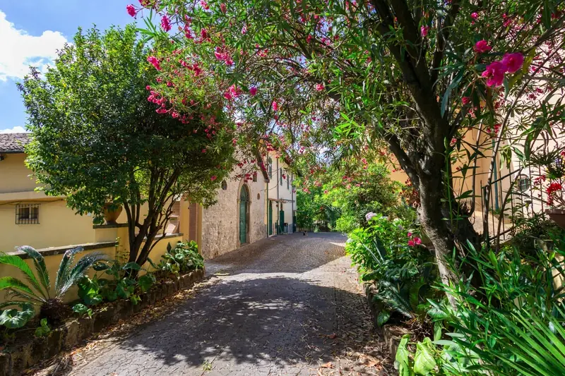 Tenuta dell'Inviolata, casale o tenuta a Velletri